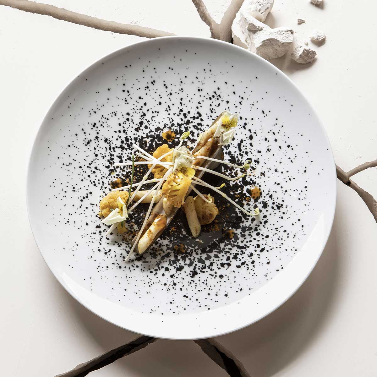 Image du produit: MODULO BLANC ARTY CREATION Assiette 29 cm